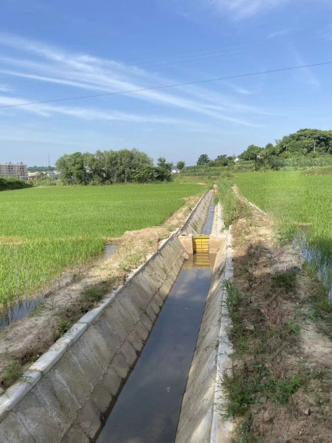 2020年度松滋市斯家场镇高标准农田建设项目第2标段