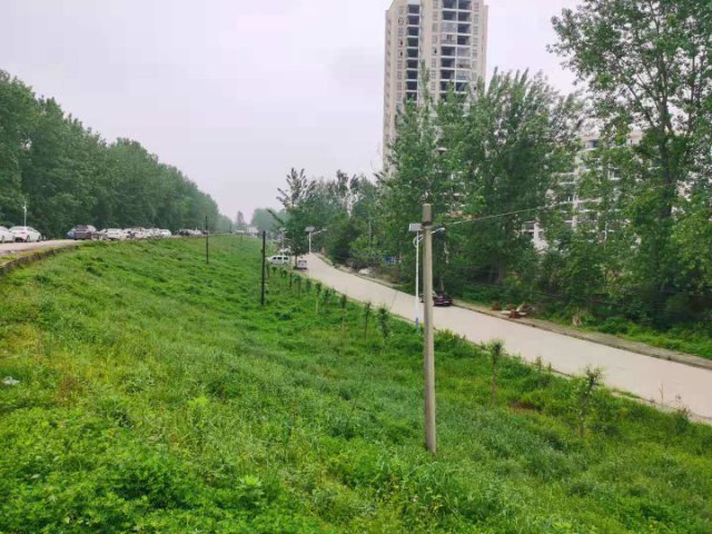 团风县长江岸线生态修复（一期）
